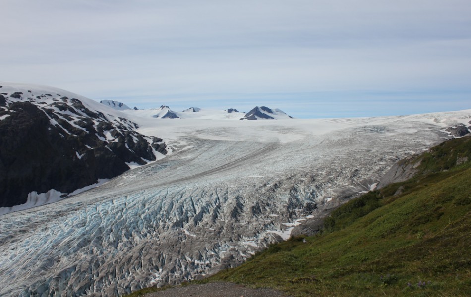 Exit Glacier Looking Toward Harding Ice Field